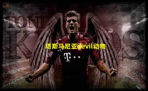 塔斯马尼亚devil动物