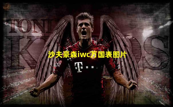 沙夫豪森iwc万国表图片