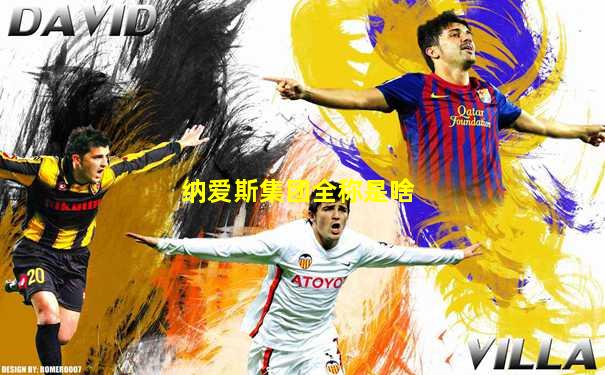 纳爱斯集团全称是啥