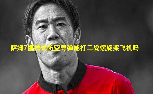 萨姆7便携式防空导弹能打二战螺旋桨飞机吗