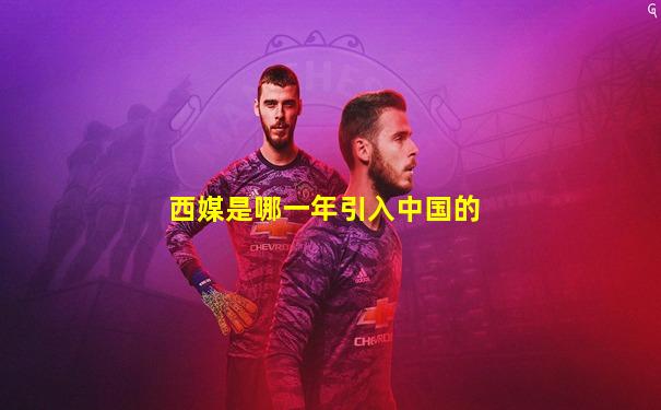 西媒是哪一年引入中国的