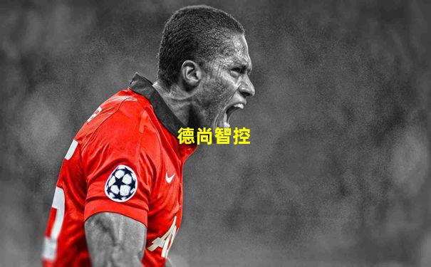 德尚智控
